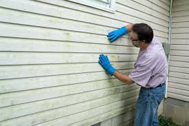 Best Historical Building Siding Restoration  in Coarsegold, CA